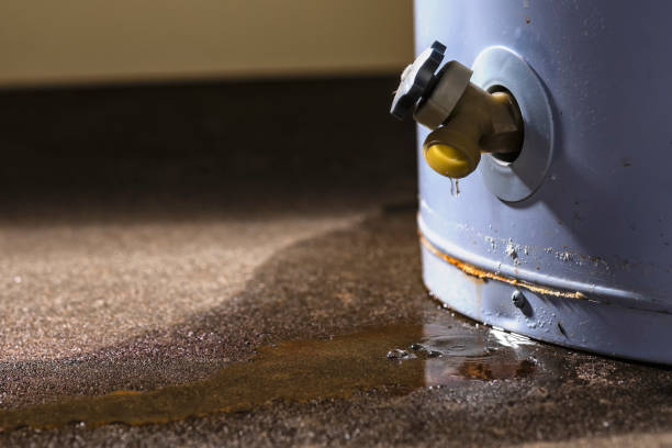 Best Water damage cleanup near me  in Angola On The Lake, NY