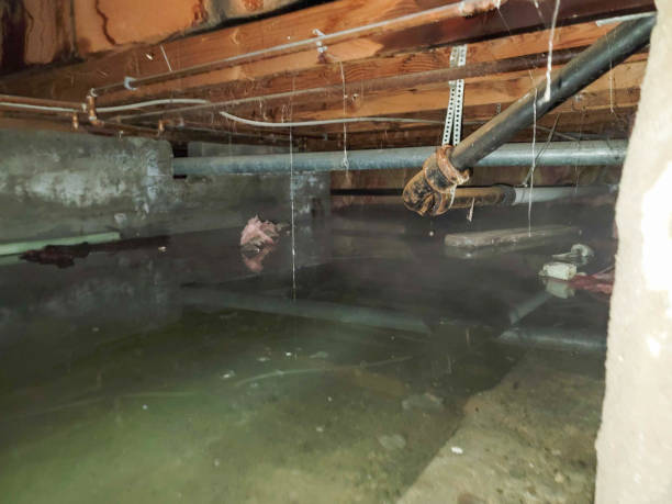 Best 24-hour water damage restoration  in Angola On The Lake, NY