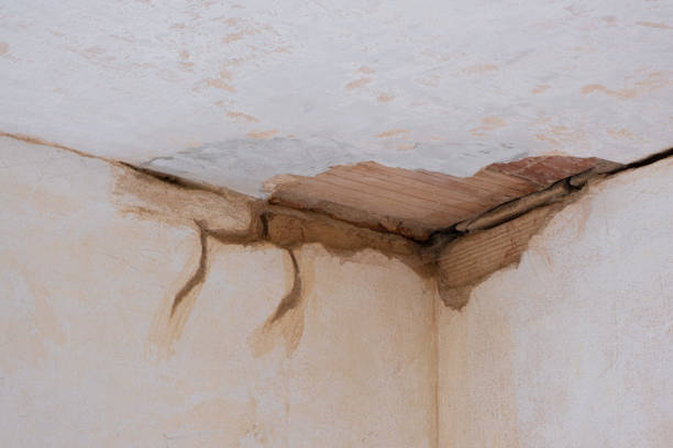 Best Ceiling water damage repair  in Angola On The Lake, NY