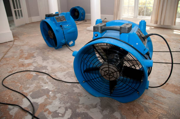 Best Water damage restoration near me  in Angola On The Lake, NY