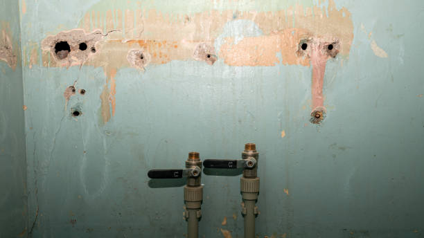 Best Local water damage restoration  in Angola On The Lake, NY