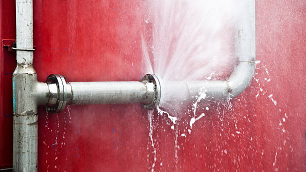 Best Mold removal after water damage  in Angola On The Lake, NY